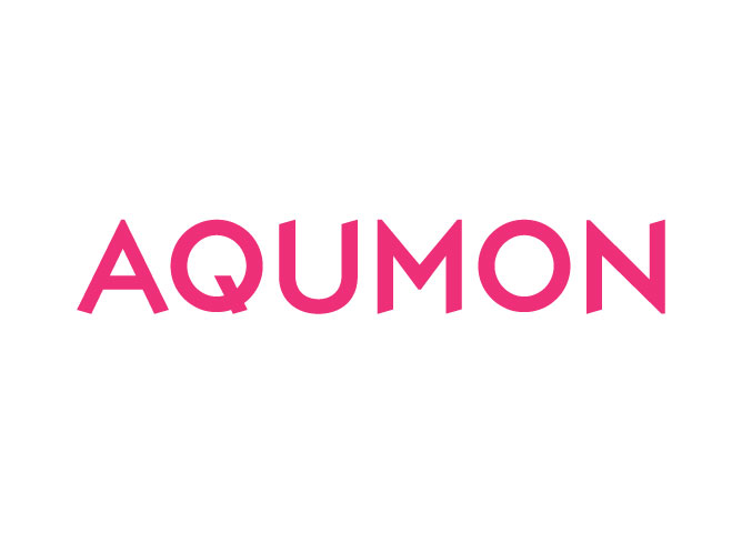 Magnum Research (AQUMON) raised US$30 million as the year’s largest funding deal for Asian digital wealth management