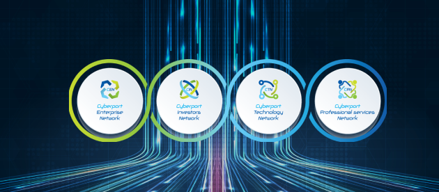 Cyberport Networks