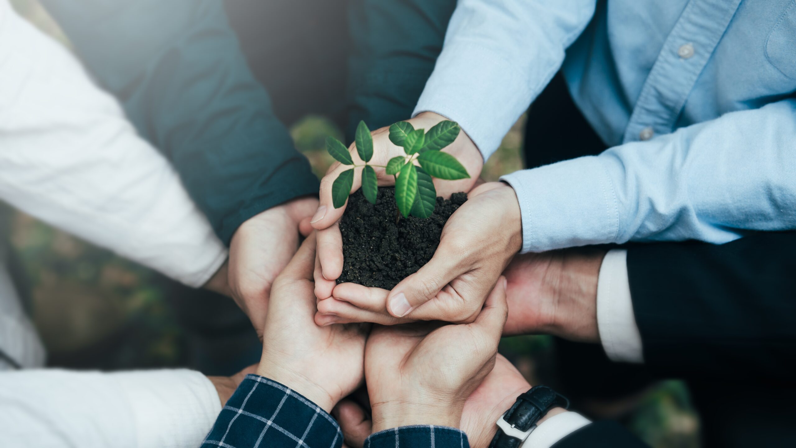 Act Now to Invest in the Future with Cyberport